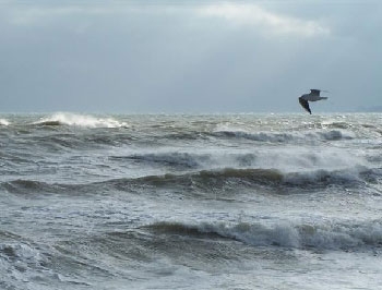 В Запорожской области вторые сутки ищут пропавших в море рыбаков фото