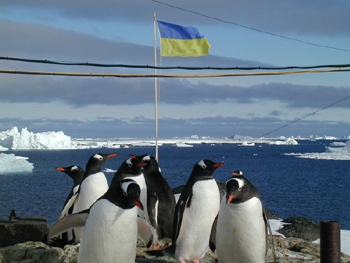 В Антарктиде голосуют украинские полярники фото