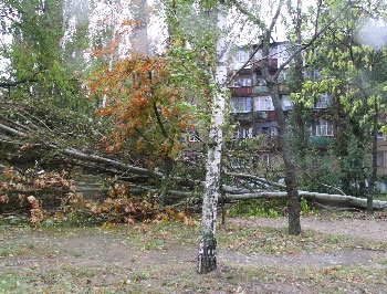 Последствия сентябрьского урагана в Мелитополе в полной мере еще не ликвидированы фото