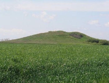 У фермеров Мелитопольского района забрали назад курганы фото