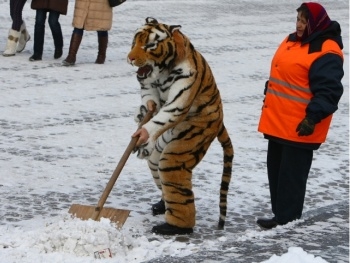 Мелитополь может накрыть снегом уже ночью фото