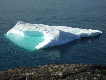 На киевском водохранилище отколлась льдина: рыбаки спасены фото