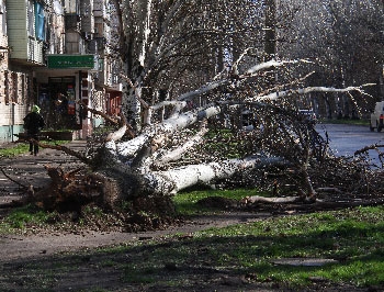 Миллионы за непогоду Мелитополю выделены, но в город так и не поступили фото