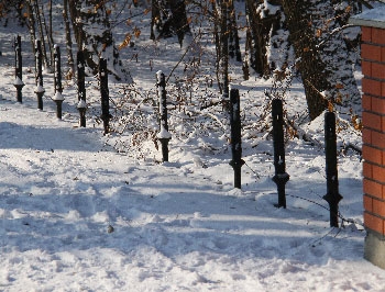 Милиция за несколько часов нашла чугунную ограду, украденную в городском парке фото