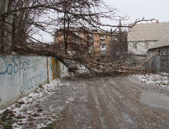 Ветер набедокурил в Мелитополе: часть улиц осталась без света фото