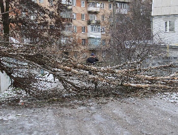 Погода за последние сутки радовала разнообразием фото