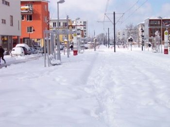 Запорожцы жалуются на очереди на остановках фото