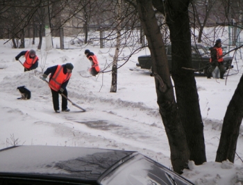 Во дворах мелитопольских многоэтажек - нашествие дворников фото