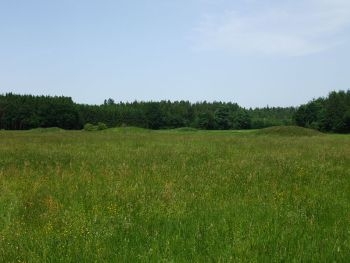 Запорожская прокуратура вернула курган фото