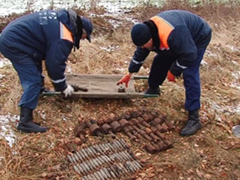 В Новобогдановке нашли гранаты, в Константиновке и Троицком – минометные мины фото