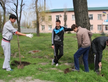 В Мелитополе зацвела Студенческая роща фото