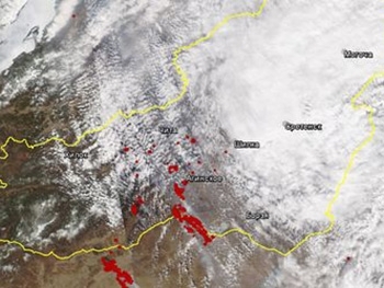 Пожары из России перекинулись на Монголию фото