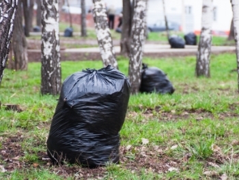 В Запорожье проведут акцию в рамках Дня окружающей среды фото