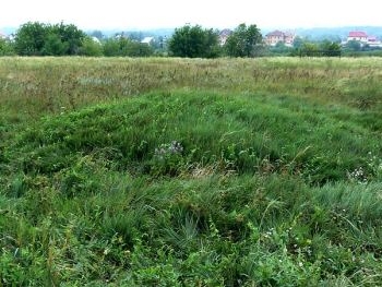 В Запорожской области курган вернули государству фото