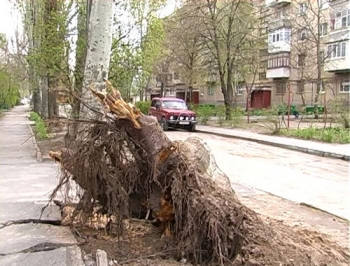 Достойно внимания: Мелитополь наш дом, мы хозяева в нем фото