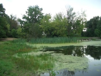 В Запорожье будут чистить воду фото