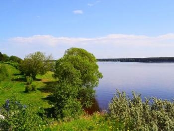 В Запоросжкой области государству вернули земли фото