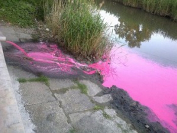В Реку в Запорожье стекает ярко-розовая вода фото