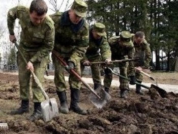 Беларусь начала военные учения фото