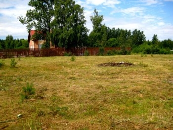Житель Запорожской области присвоил землю нелегальным путем фото