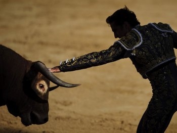 В Испании 10 человек госпитализированы во время забега быков фото
