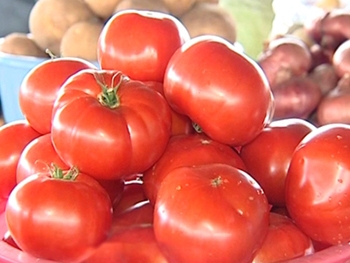 В Запорожской области помидоры резко подорожали из-за россиян фото