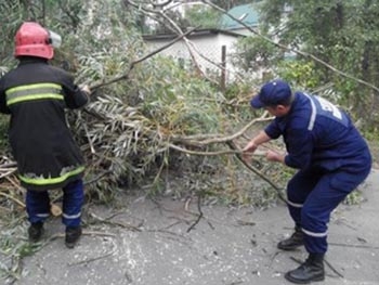 Из-за урагана на Львовщине обесточены более ста населенных пунктов фото