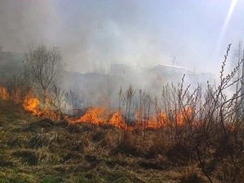 В городе снова горят пустыри, угрожая жилым домам фото