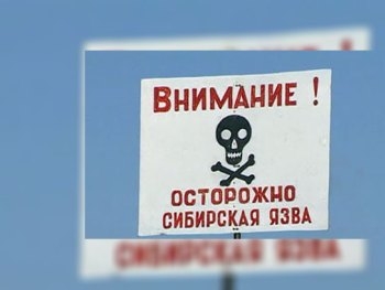 В Молдове обнаружили сибирскую язву фото