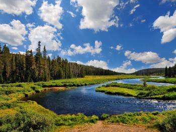 В Запорожской области обнаружили труп фото