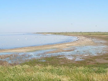 Слив нечистот в лиман прокомментировали в Акимовской РГА фото