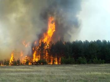 В Запорожской области тушат пожары на открытой местности фото