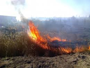 За сутки в городе и районе выгорело больше 11 тыс. квадратов сухой травы фото
