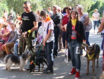 Я теж нівроку. В Мелитополе прошла выставка беспородных животных фото