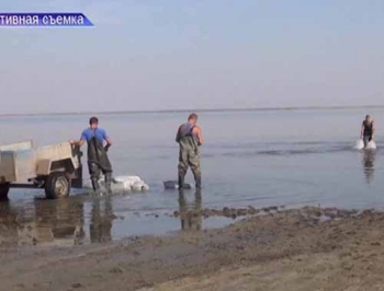 На территории Приазовского нацпарка поймали браконьеров с тонной выловленного мотыля фото