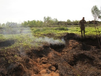 В Киевской области горят торфяники фото