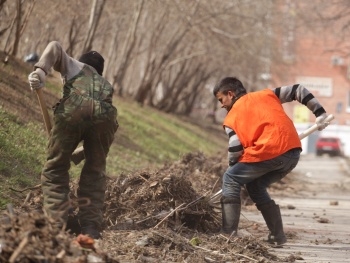 В Запорожье не хватает дворников фото