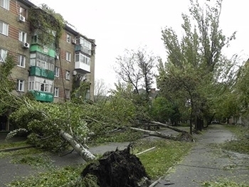 На юге Запорожской области сегодня ожидают ураганный ветер фото