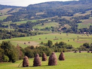 На Закарпатье произошло наводнение фото