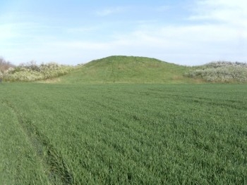 Запорожской области вернули земли фото