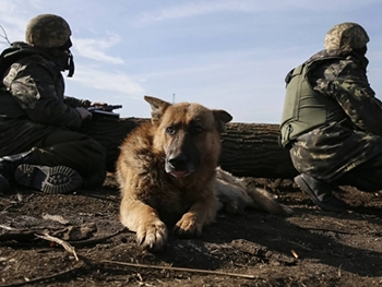 Военные отбили атаку у Сизого, накрыв боевиков плотным огнем из стрелкового оружия фото