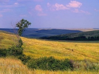 В Запорожской области вернули земли фото