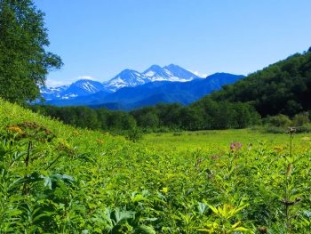 Участники климатической конференции согласовали документ фото