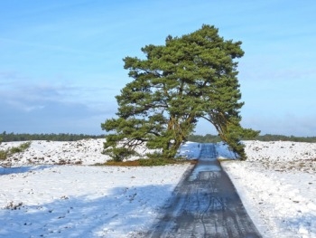 Сегодня в Украине до +6 фото