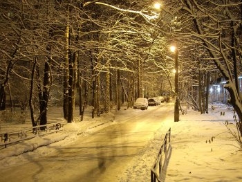 В новогоднюю ночь маршрутки будут ездить дольше фото