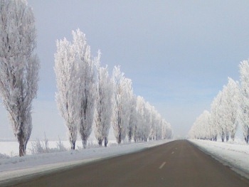 Украинцы перекрывают дороги фото