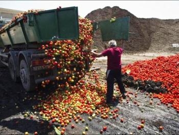 В РФ уничтожили 1,8 тыс. т санкционной продукции фото