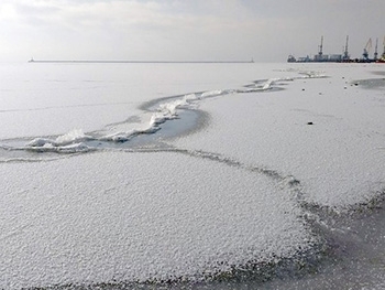 Азовское море возле Бердянска покрылось дрейфующими льдами  фото