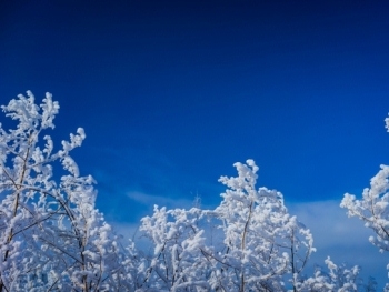 Запорожцы не довольны работой коммунальщиков фото