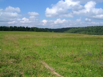 Запорожской области вернули земли фото